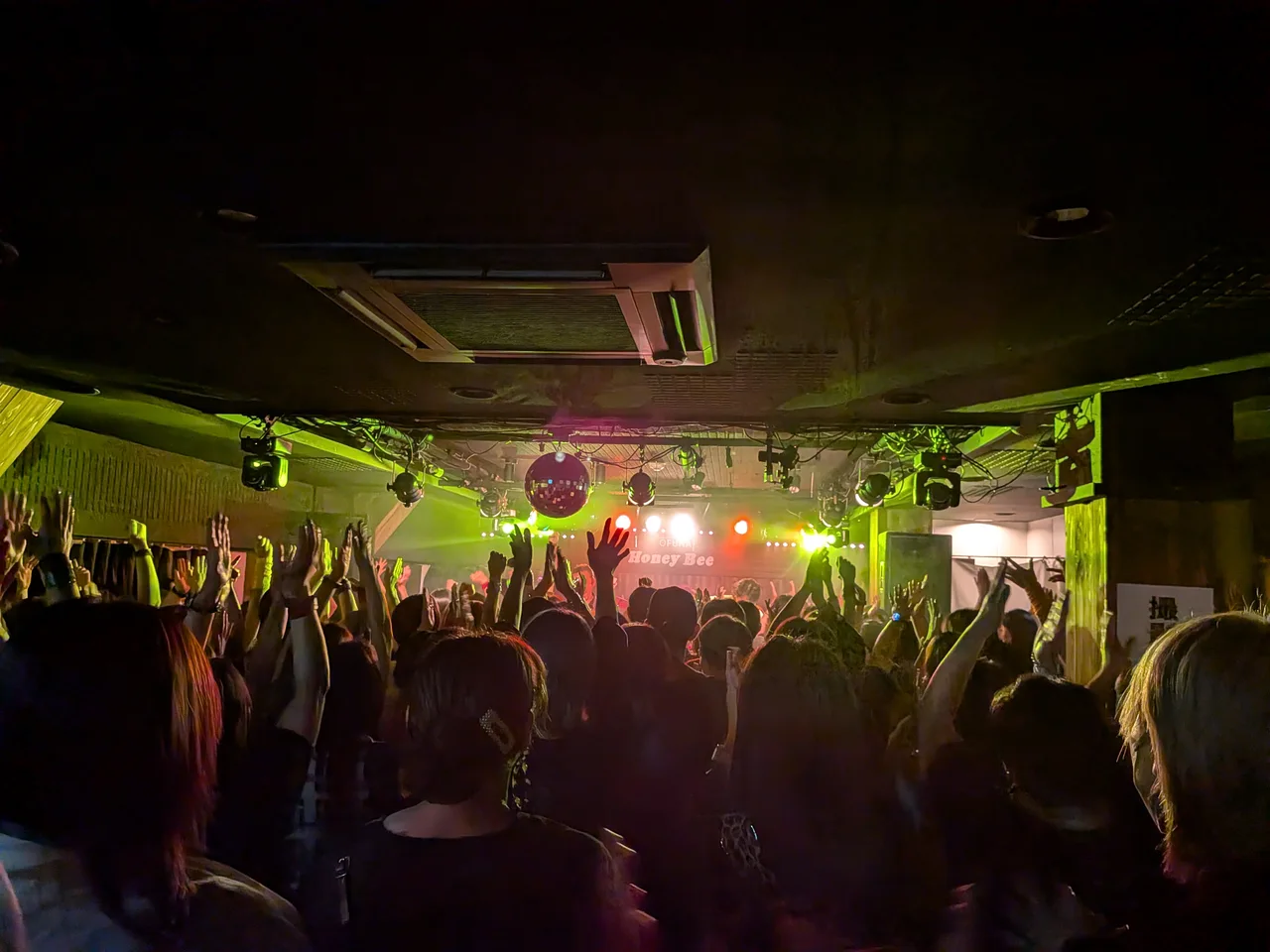 ライブを楽しむお客様でにぎわうHONEY BEE